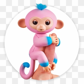 Skype Monkey Png, Transparent Png - baby monkey png