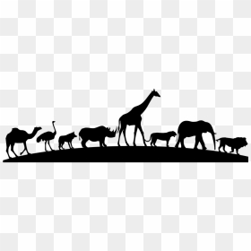 Animal Silhouettes In A Line, HD Png Download - lion silhouette png