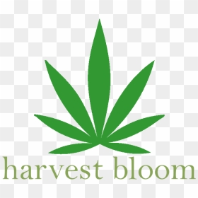 Harvest Bloom Medical Marijuana Delivery Service [interview] - Graphics, HD Png Download - marijuana joint png