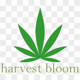 Harvest Bloom Medical Marijuana Delivery Service [interview] - Graphics, HD Png Download - marijuana joint png