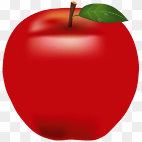 Apple Fruits Clipart - Mcintosh, HD Png Download - apple .png