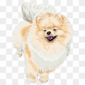 Pomeranian, HD Png Download - happy dog png