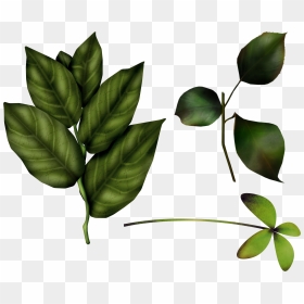Green Leaves Png Image - Baby Winnie The Pooh, Transparent Png - pooh png
