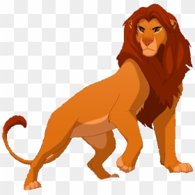 Simba Png Free Download - Grown Simba White Background, Transparent Png 