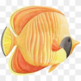 Hand Painted A Tropical Fish Png Transparent, Png Download - tropical fish png