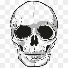 Transparent Stats Clipart - Png Transparent Skull Png, Png Download - cartoon skull png
