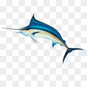 Sword Fish Clipart Clip Art Freeuse Swordfish Png Clip - Marlin Fish Png, Transparent Png - sword clipart png