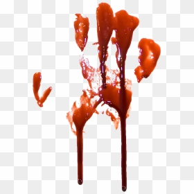 Transparent Bloody Hand Print, HD Png Download - sangre png