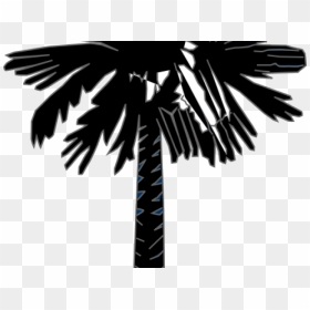 Transparent South Carolina Outline Clipart - South Carolina Flag Palm Tree, HD Png Download - north carolina outline png