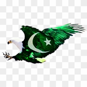 Scflag Flag Pakistanflag Pakistan Eagle Bird Shaheen - My Country My Pride Pakistan, HD Png Download - eagle symbol png