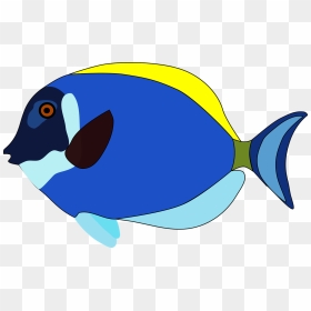 Transparent Background Fish Cartoon Images Png, Png Download - tropical fish png
