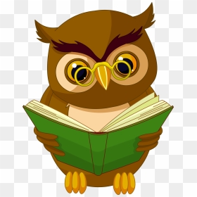 Transparent Owl With Book Png Clipart Picture - Books Clipart Transparent Background, Png Download - books clipart png