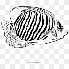 Transparent Tropical Fish Png - Fish Coloring Pages, Png Download - tropical fish png