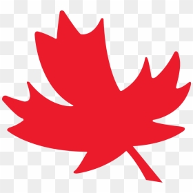 Maple Leaf Editing Canadian English, 3rd Edition - Logo De Canada Png, Transparent Png - canadian leaf png