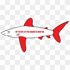 Shark Finning - Shark Finning Facts 2018, HD Png Download - shark fin png