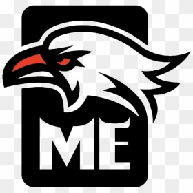 Mighty Eaglelogo Square - Mighty Eagle Logo, HD Png Download - eagle symbol png