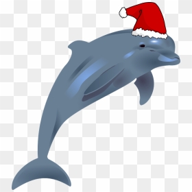 Dolphin With Santa Hat Clipart - Dolphins Transparent, HD Png Download - santa hat clipart png