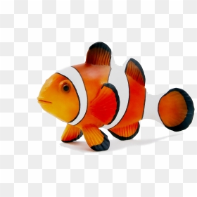 Zoomagazin Dog Illustration Cat Simba Bird Clipart - Coral Reef Fish, HD Png Download - simba png