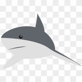 Gray Reef Shark Clipart, HD Png Download - shark fin png