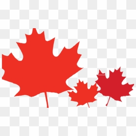 Transparent Canadian Leaf Png - Кленовый Лист Рисунок Формат А4, Png Download - canadian leaf png