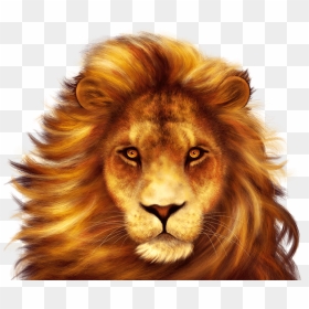 African Simba™ - African Simba, HD Png Download - simba png