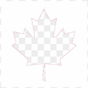 Canada Flag, HD Png Download - canadian leaf png