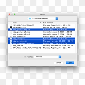 Tassel File Browser, HD Png Download - tassel png