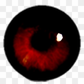 #terror #ojo #sangre #halloween #happyhalloween #stiker - Circle, HD Png Download - sangre png