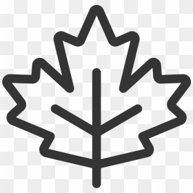 Transparent Canadian Leaf Png - White Maple Leaf Icon, Png Download - canadian leaf png