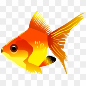 Tropical Fish Clipart Transparent Background - Fish Clipart Transparent Background, HD Png Download - tropical fish png