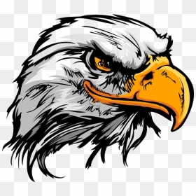 Eagle Tattoo Png Photo - Eagle Head Png, Transparent Png - american flag eagle png