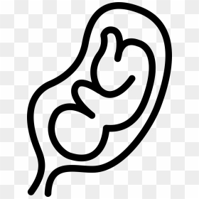 Fetus In An Uterus - Silueta De Un Feto, HD Png Download - fetus png