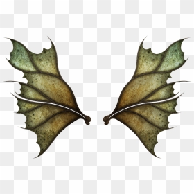 Fairy Wings Png - Dark Fairy Wings Png, Transparent Png - realistic fairy wings png