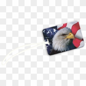 Cbtis Fronterizo, HD Png Download - american flag eagle png