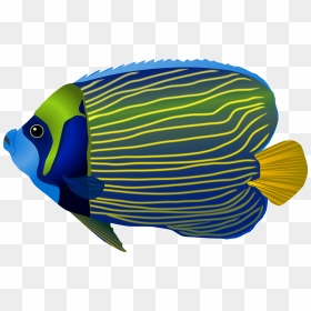 Fish Png Clipart Graphic Blue Fish Png Clip Art Image - Fisch Png Clipart, Transparent Png - fish.png