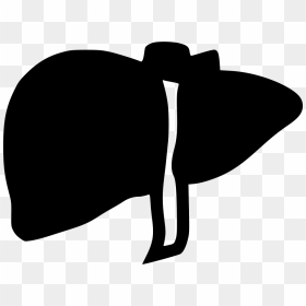 Liver - Transparent Liver Icon Png, Png Download - liver png