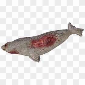 Transparent Harbor Clipart - Dead Fish Transparent Background, HD Png Download - fish.png