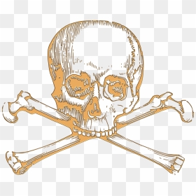 Skull And Crossbone Drawing, HD Png Download - cartoon skull png