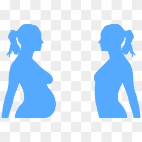 Pregnancy Pregnant Woman Baby Blue Belly - Pregnant Clip Art, HD Png Download - fetus png