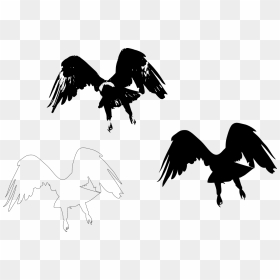 Silhouette Bird Wing Feather - Eagle Flying Away, HD Png Download - feather silhouette png