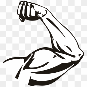Transparent Muscular Arm Png - Transparent Strong Arm Png, Png Download - muscle arm png