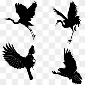 Silhouette,monochrome Photography,bird - Photography, HD Png Download - feather silhouette png