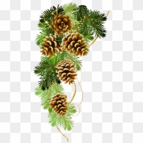Transparent Pinecone Png - Christmas Pine Cone Clipart, Png Download - pine branch png