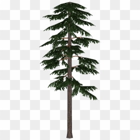 Tree Pine Silhouette Clip Art - Scots Pine Tree Png, Transparent Png - snowy tree png