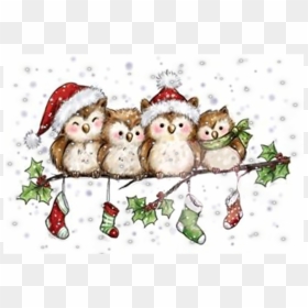 #christmas #owl #owls #family #welliesfamily #santahat, HD Png Download - cartoon santa hat png