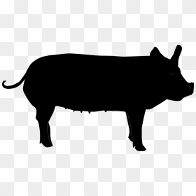 Pig Silhouette - Free Svg Pig, HD Png Download - pig silhouette png
