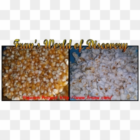 Corn Kernels , Png Download - Food, Transparent Png - popcorn kernel png