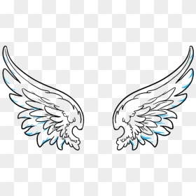How To Draw Angel Wings - Vector Angel Wings Png, Transparent Png - realistic fairy wings png