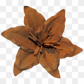 Clematis, HD Png Download - lily flower png