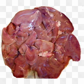Chicken Liver & Pot - Chicken Kaleji Png, Transparent Png - liver png